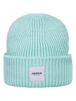 Кепка Icepeak, мятный