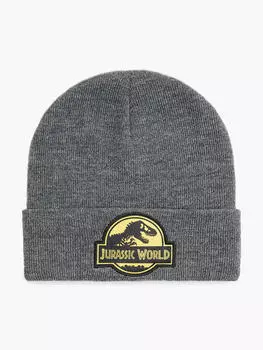 Кепка Jurassic World, серый