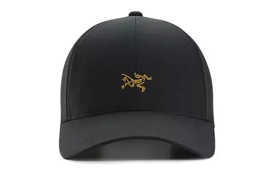 Кепка Arcteryx Unisex с логотипом, черный / желтый