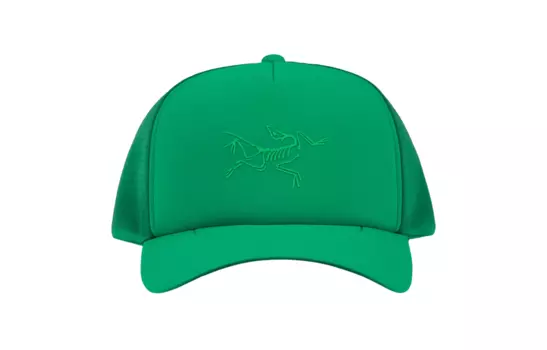 Кепка Arcteryx Unisex, синий