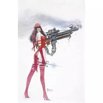 Книга Elektra: Assassin (Hardback)