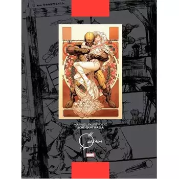 Книга Marvel Portfolio: Joe Quesada (Hardback)