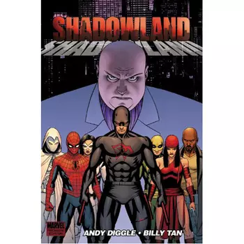 Книга Shadowland (Hardback)