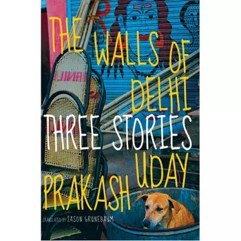 Книга The Walls Of Delhi