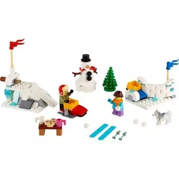 Конструктор пластиковый Lego Iconic Битва снежками