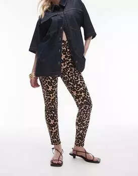 Коричневые леггинсы с леопардовым принтом Topshop