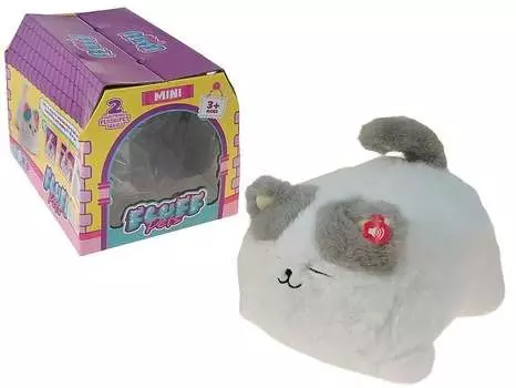 Кот 4285 Adar