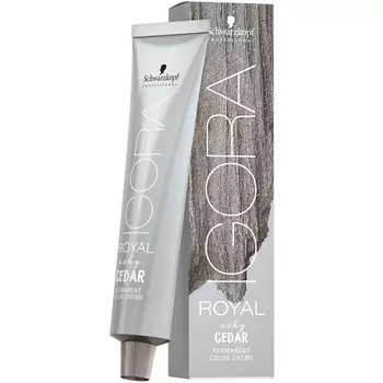 Краска для волос Schwarzkopf Professional Raw Essentials, Dunkelblond Cendr Schoko / 60 ml