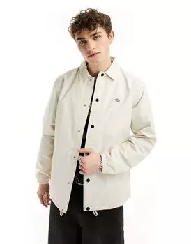 Кремовая куртка Dickies Oakport
