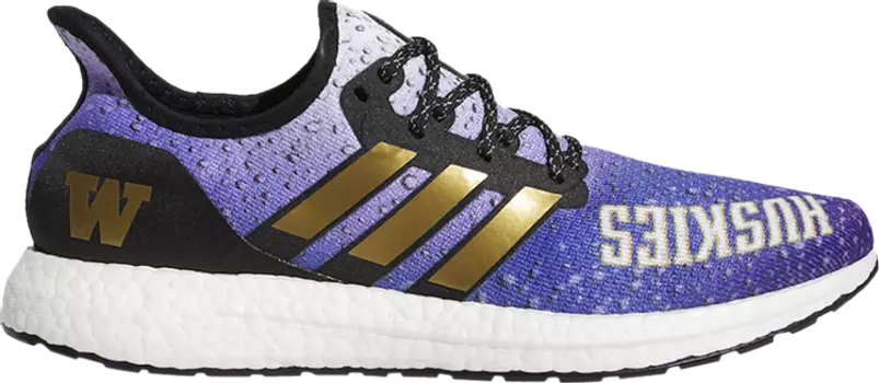 Кроссовки Adidas Speedfactory AM4 'Washington Huskies', фиолетовый