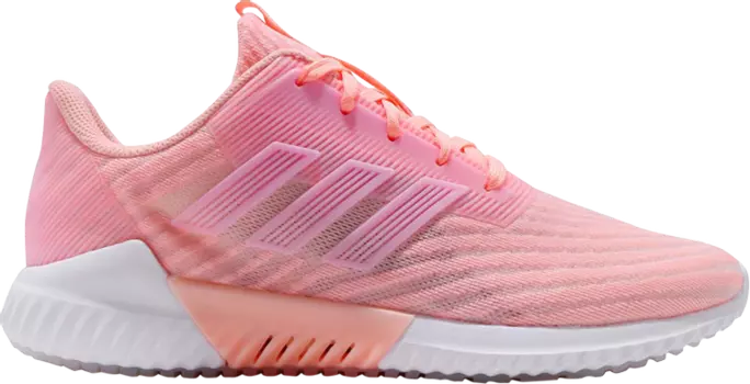 Кроссовки Adidas Wmns Climacool 2.0 'Pink', розовый