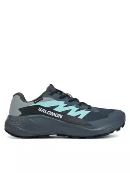 Кроссовки Alphaglide Gore-Tex L47802500 Salomon, серый