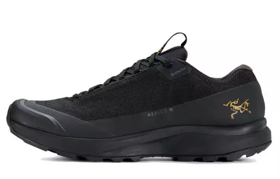 Кроссовки Arcteryx Aerios Fl 2 Outdoor Performance, черный