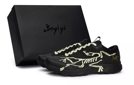 Кроссовки Arcteryx Aerios Fl 2 Outdoor Performance, бежево-желтый