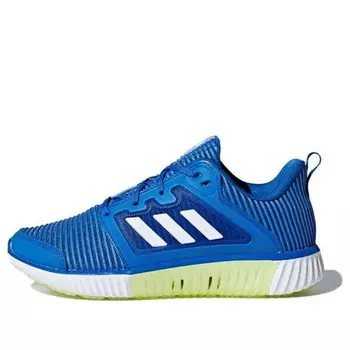 Кроссовки climacool vent j Adidas, синий