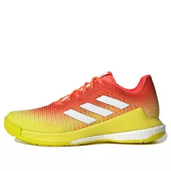 Кроссовки crazyflight Adidas, красный