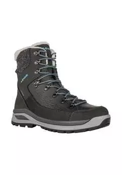 Кроссовки для активного отдыха Renegade Evo Ice GTX WS Lowa, мультиколор