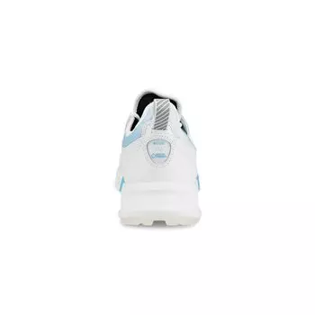 Кроссовки ECCO Golf Biom C4 Iceman Edition