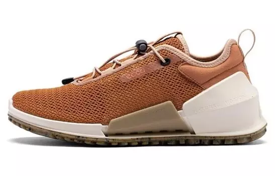Кроссовки ecco Striding 2.0 Series Lifestyle Shoes Women's Low-top Brown, коричневый