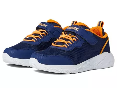 Кроссовки Geox Kids, Sprintye 7