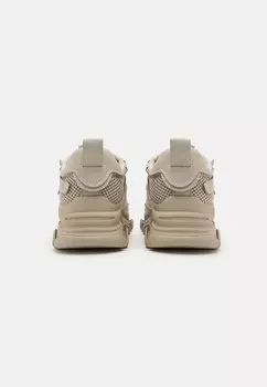 Кроссовки JPOSSESSION Steve Madden, бежевый