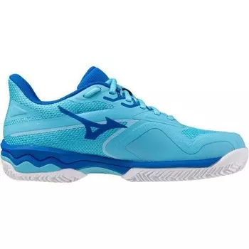 Кроссовки Mizuno, синий
