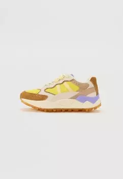 Кроссовки MOUNT Scotch & Soda, мультиколор