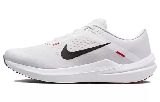 Кроссовки мужские Nike Air Winflo 10