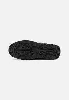 Кроссовки на шнуровке CAPTRAIL UGG, черный