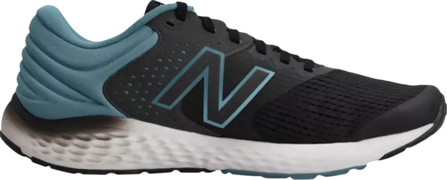 Кроссовки New Balance 520v7 'Black Blue', черный