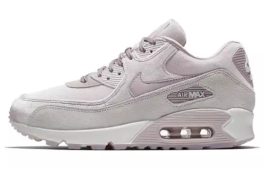 Кроссовки Nike Air Max 90 женские