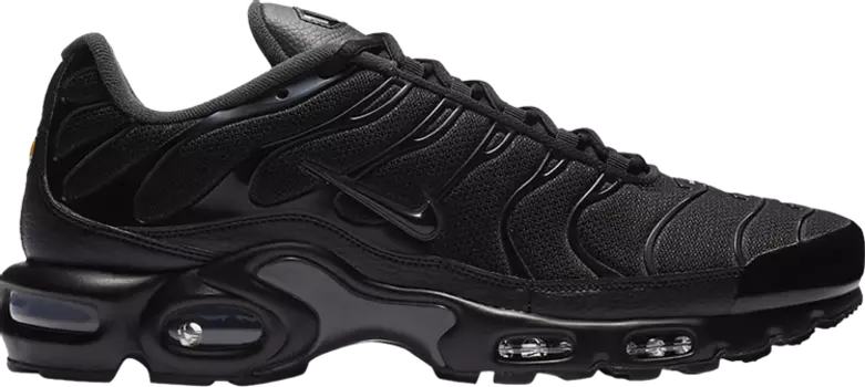 Кроссовки Nike Air Max Plus 'Black Dark Smoke Grey', черный