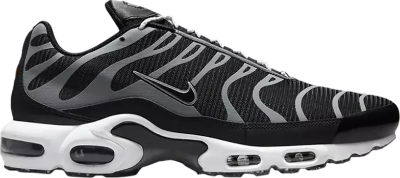 Кроссовки Nike Air Max Plus, черно-серебристый