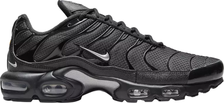Кроссовки Nike Air Max Plus 'Mini Swoosh - Black Metallic Silver', черный