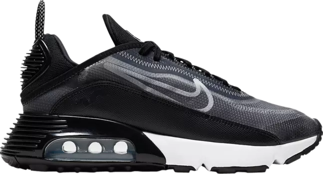 Кроссовки Nike Wmns Air Max 2090 'Black', черный