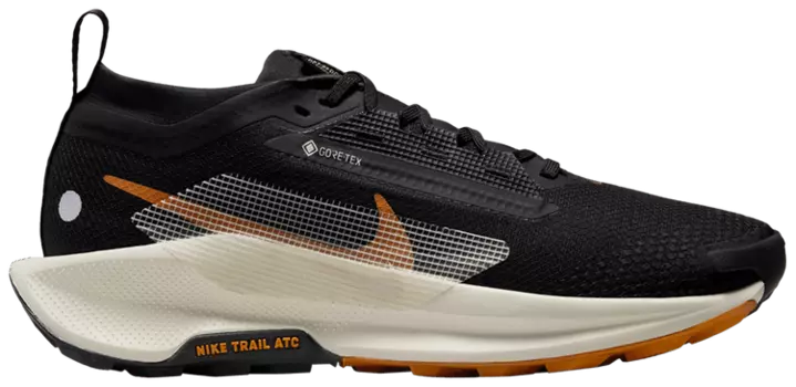 Кроссовки Nike Wmns Pegasus Trail 5 GORE-TEX 'Black Monarch', черный