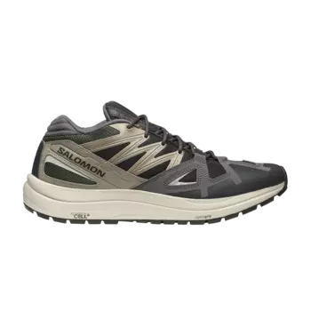 Кроссовки Odyssey 1 Salomon, серый