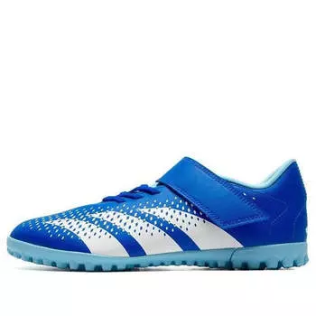 Кроссовки predator accuracy 'royal blue' Adidas, синий