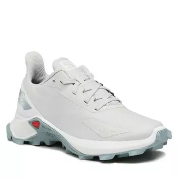 Кроссовки Salomon AlphacrossBlast J, серый