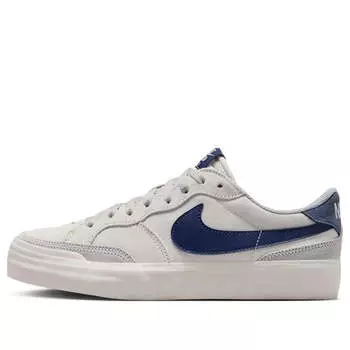 Кроссовки sb zoom pogo plus Nike, серый
