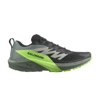 Кроссовки Sense Ride 5 Salomon, черный