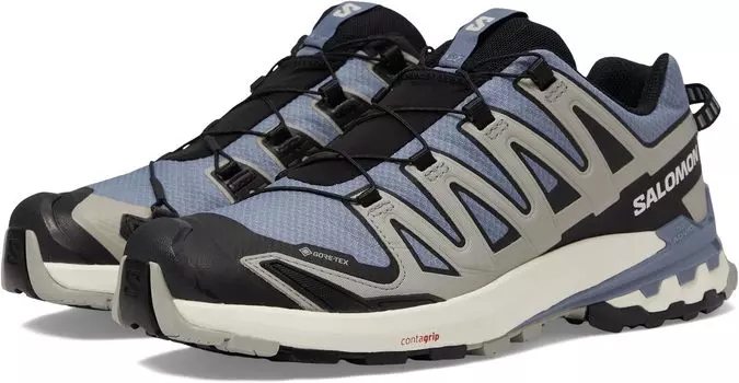 Кроссовки XA Pro 3D V9 GORE-TEX Salomon, цвет Flint Stone/Black/Ghost Gray