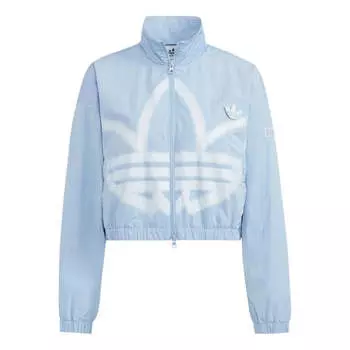 Куртка adicolor track jacket Adidas, синий