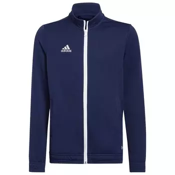 Куртка adidas Entrada 22, синий