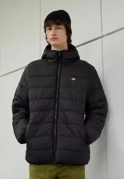 Куртка демисезонная Dickies WALDENBURG MID LAYER, цвет Black