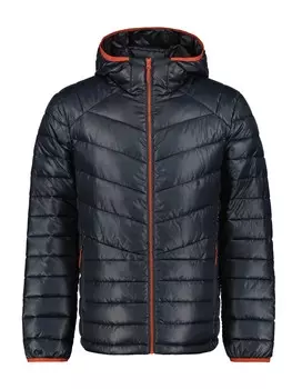 Куртка Icepeak BAGLEY, серый