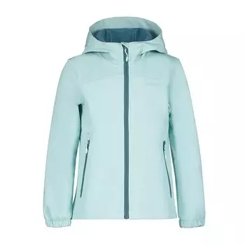 Куртка Icepeak Kobryn, зеленый