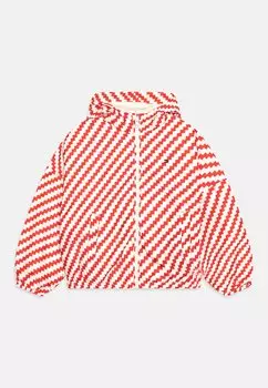 Куртка межсезонная Monotype Tape Windbreaker Tommy Hilfiger, цвет calico/fierce red