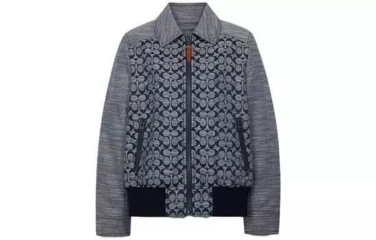 Куртка мужская серая Coach, серый
