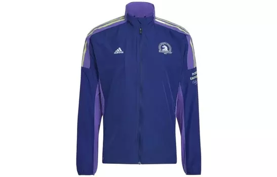 Куртка мужская синяя Adidas, синий